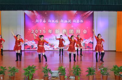 2015新春團(tuán)拜會(huì)